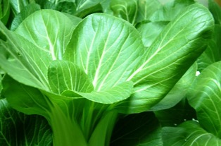 食用农产品价格小幅回落，市场供需格局趋于宽松——聚焦商务部最新监测透视农产品市场动向